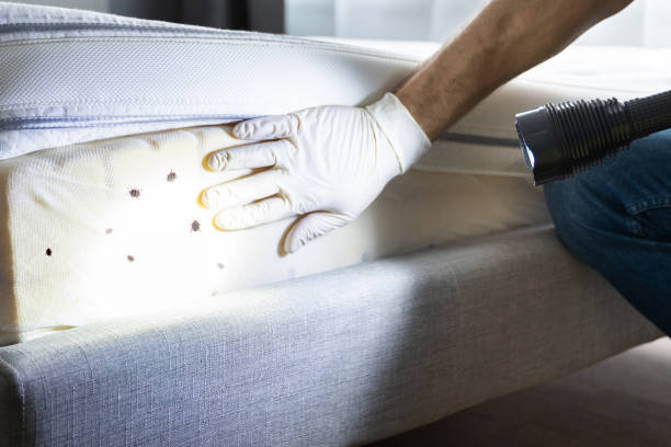 Best Commercial Pest Control Services  in Glenolden, PA